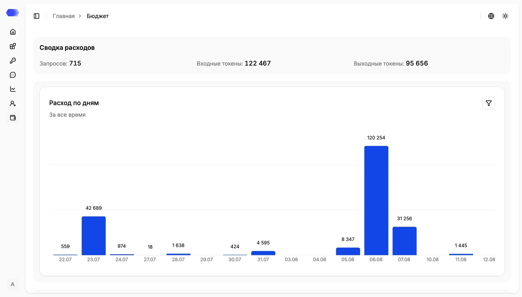 Budget summary and daily usage chart